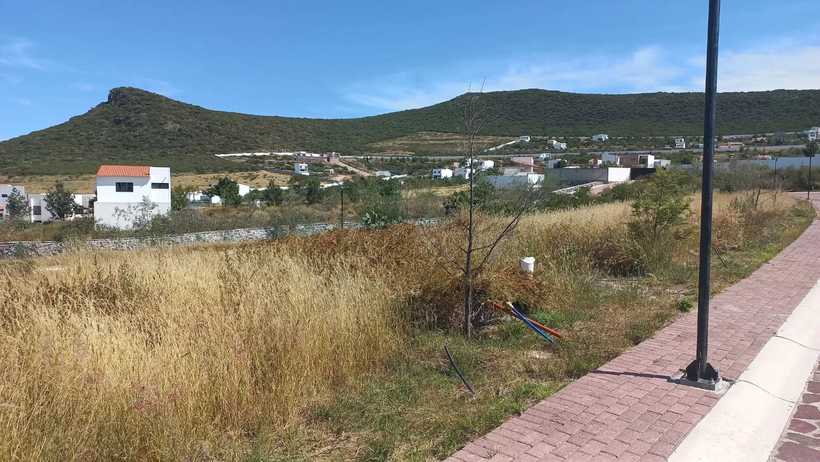 Oportunidad Ciudad Madera